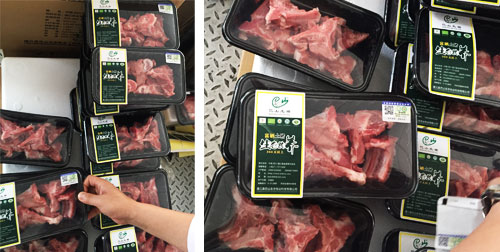 巴山土豬1.jpg 巴山土豬1.jpg